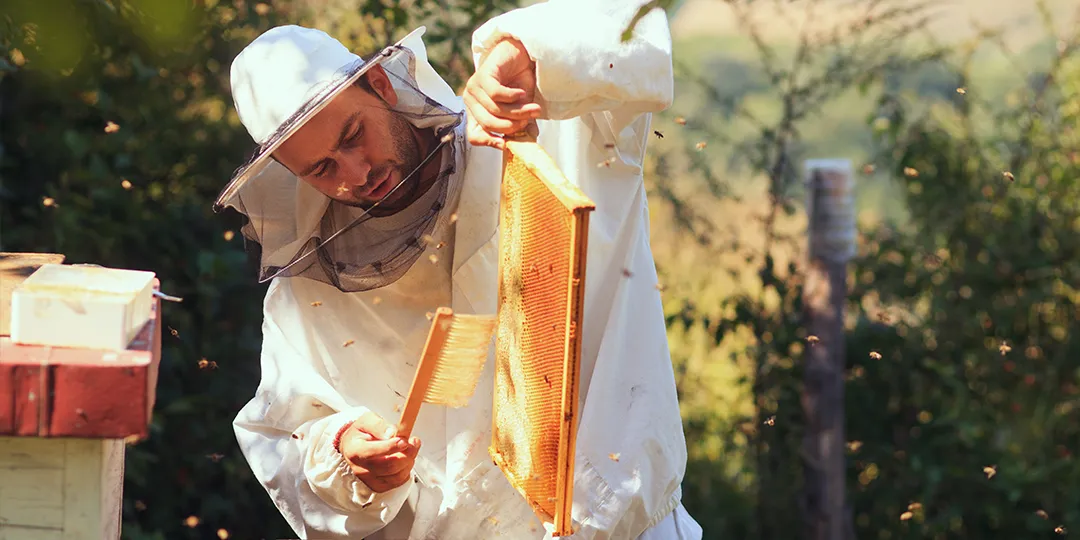 History and Culture Shorex - Beekeeping and a Private Island